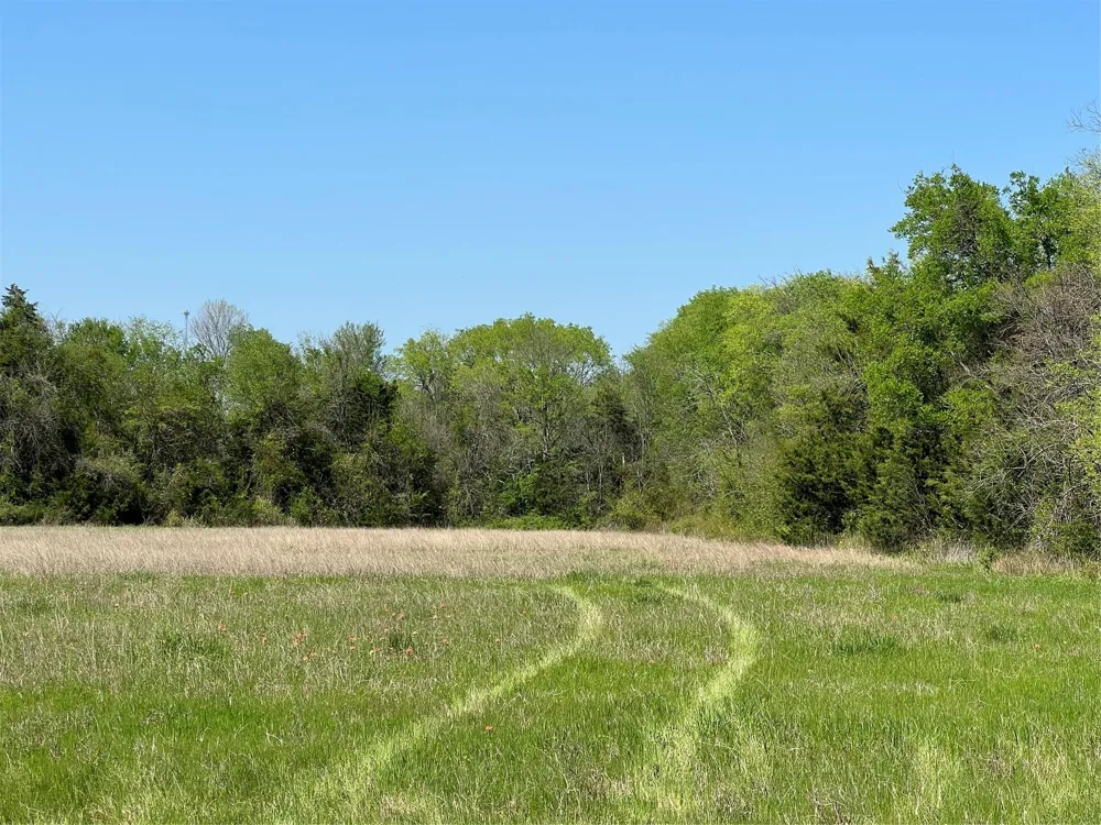 31 Fm 2562 And Cr 218 Road Anderson, TX 77830