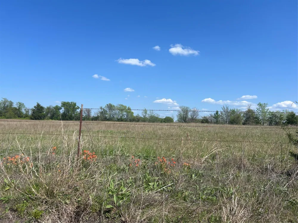 31 Fm 2562 And Cr 218 Road Anderson, TX 77830
