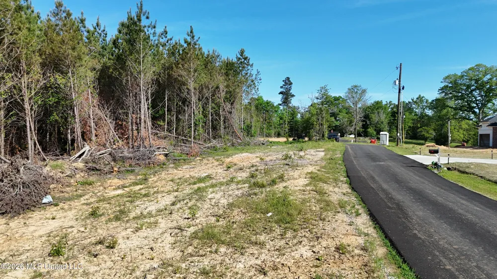 024 Mississippi 43 Camden, MS 39045