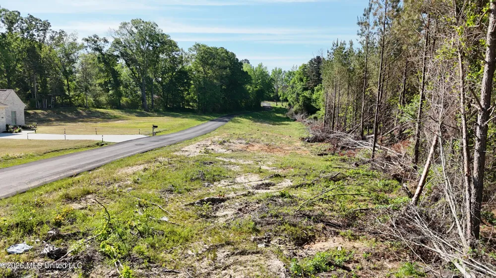 024 Mississippi 43 Camden, MS 39045