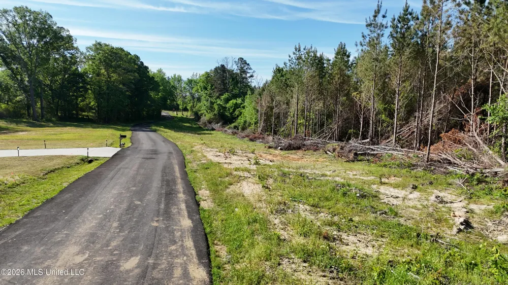 024 Mississippi 43 Camden, MS 39045