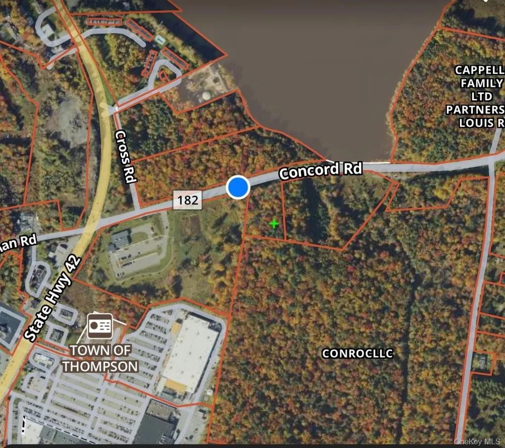 42 Concord Road Kiamesha Lake, NY 12751