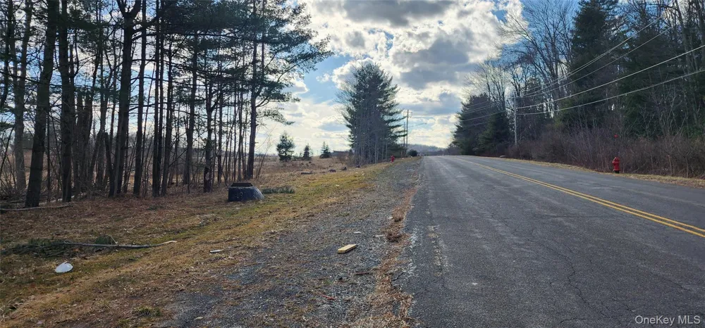 42 Concord Road Kiamesha Lake, NY 12751