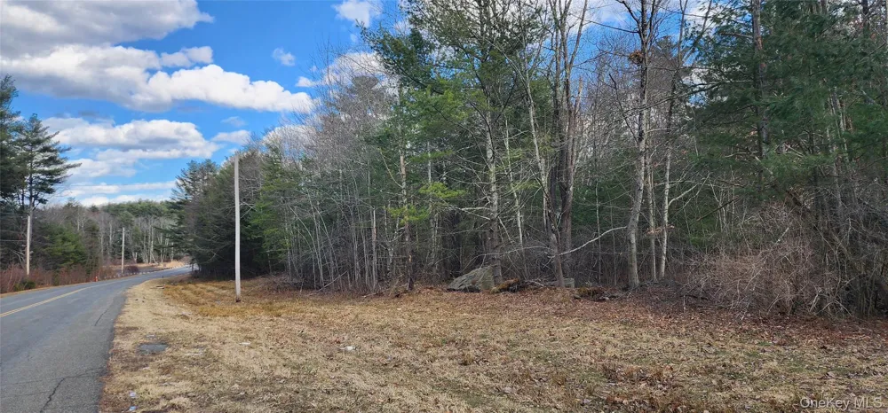 42 Concord Road Kiamesha Lake, NY 12751