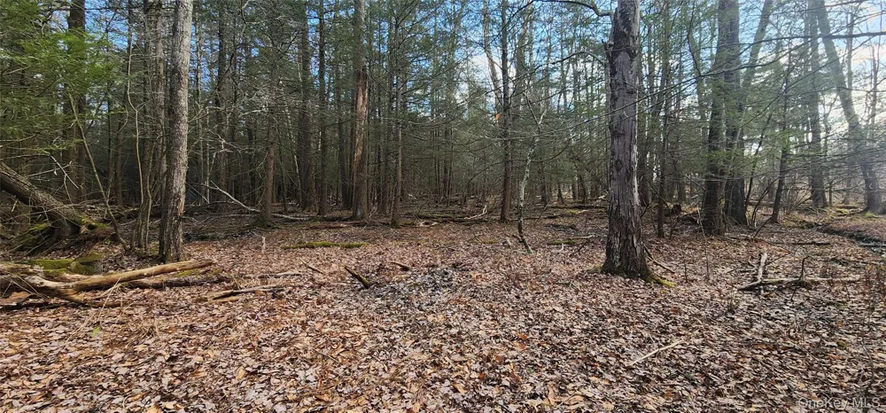 42 Concord Road Kiamesha Lake, NY 12751