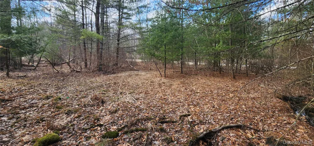 42 Concord Road Kiamesha Lake, NY 12751