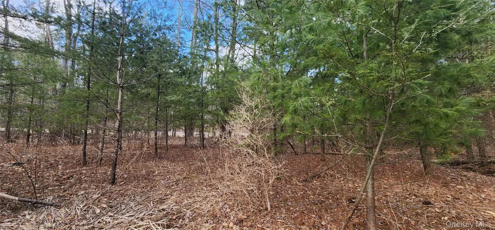 42 Concord Road Kiamesha Lake, NY 12751