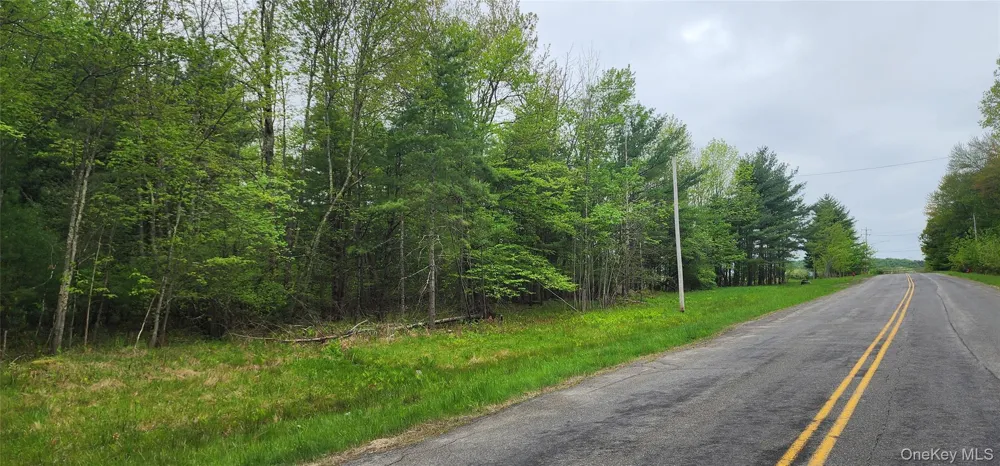 42 Concord Road Kiamesha Lake, NY 12751