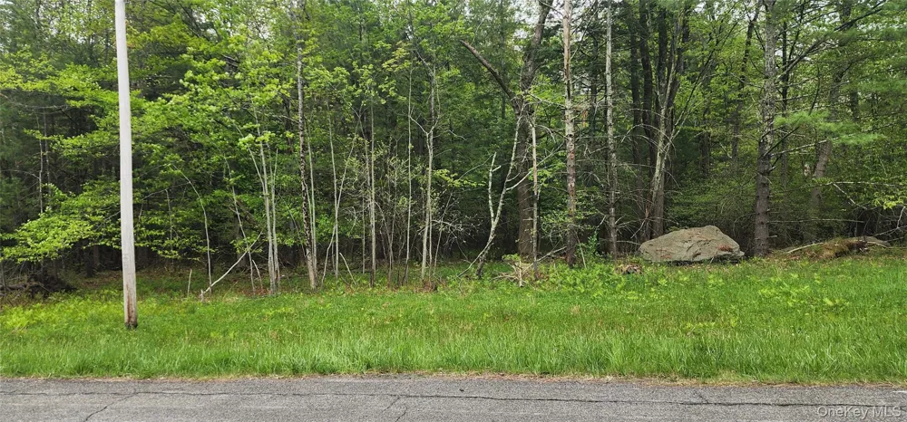 42 Concord Road Kiamesha Lake, NY 12751
