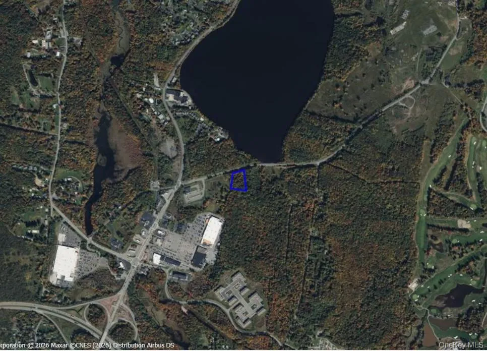 42 Concord Road Kiamesha Lake, NY 12751
