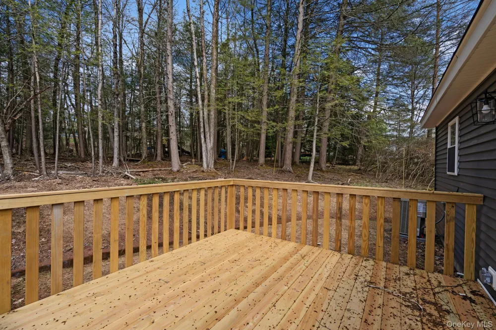 43 Pinehurst Drive E Liberty, NY 12754