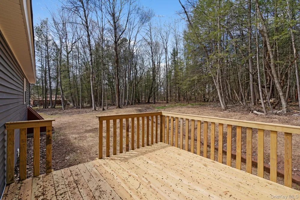 43 Pinehurst Drive E Liberty, NY 12754