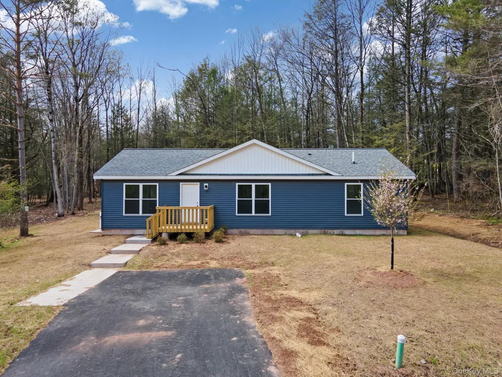 43 Pinehurst Drive E Liberty, NY 12754