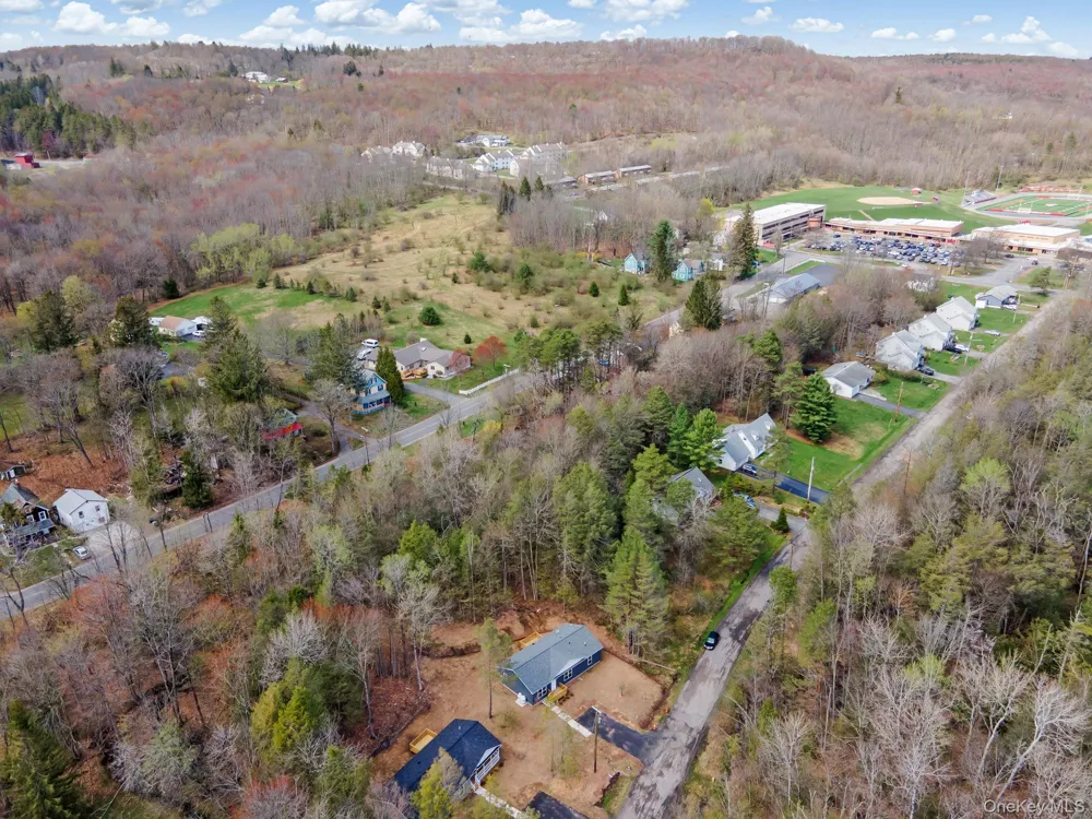 43 Pinehurst Drive E Liberty, NY 12754