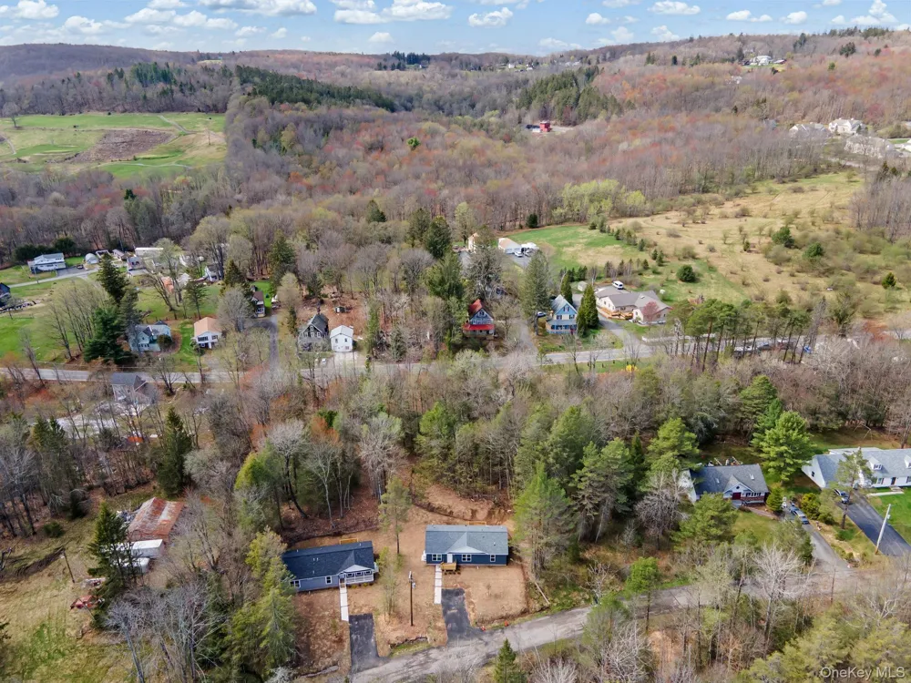 43 Pinehurst Drive E Liberty, NY 12754