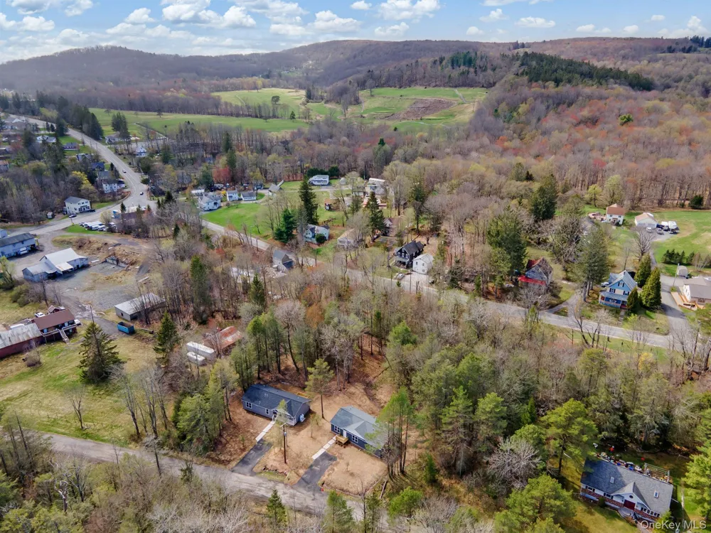 43 Pinehurst Drive E Liberty, NY 12754