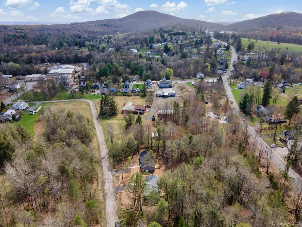 43 Pinehurst Drive E Liberty, NY 12754