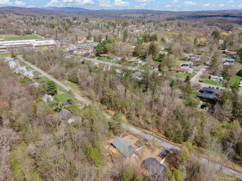 43 Pinehurst Drive E Liberty, NY 12754