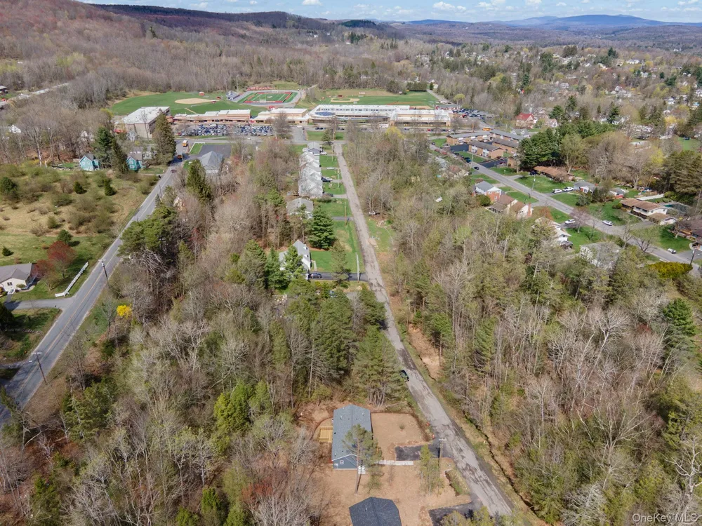 43 Pinehurst Drive E Liberty, NY 12754