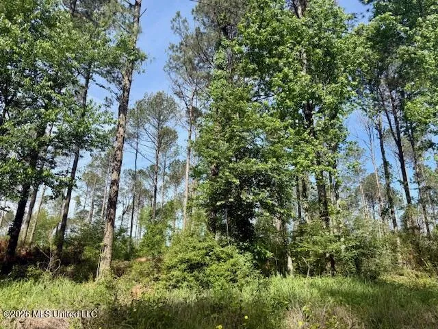 J W Miller Road Jayess, MS 39641