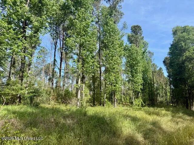 J W Miller Road Jayess, MS 39641