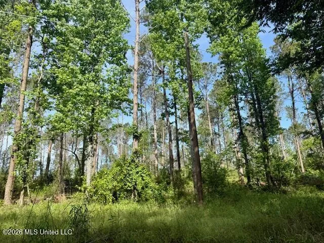 J W Miller Road Jayess, MS 39641