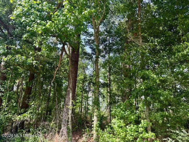 J W Miller Road Jayess, MS 39641