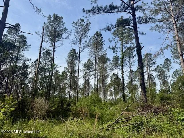 J W Miller Road Jayess, MS 39641
