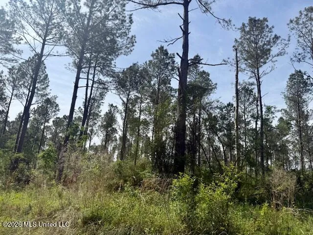 J W Miller Road Jayess, MS 39641