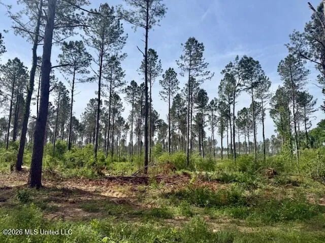 J W Miller Road Jayess, MS 39641
