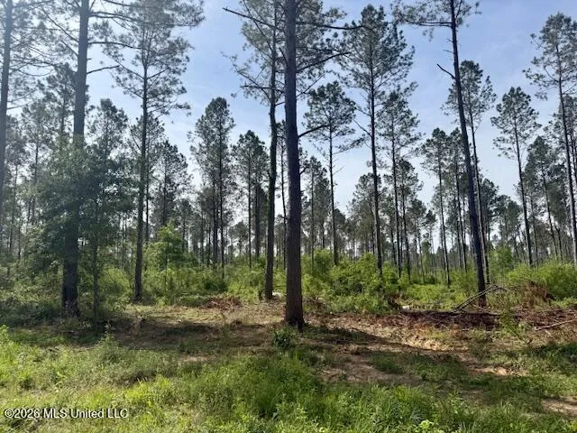 J W Miller Road Jayess, MS 39641