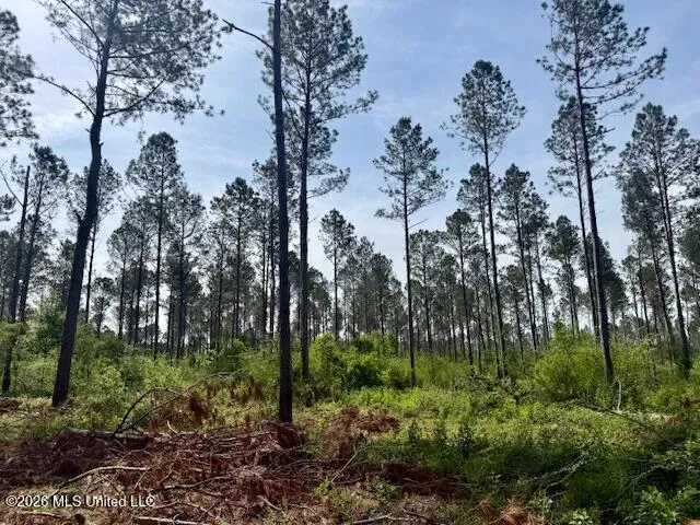 J W Miller Road Jayess, MS 39641