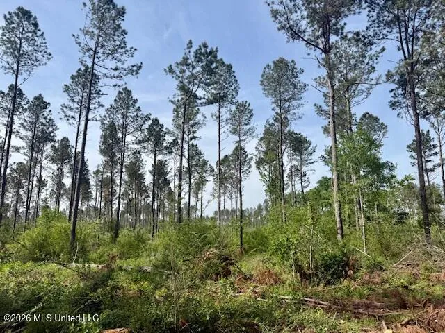 J W Miller Road Jayess, MS 39641