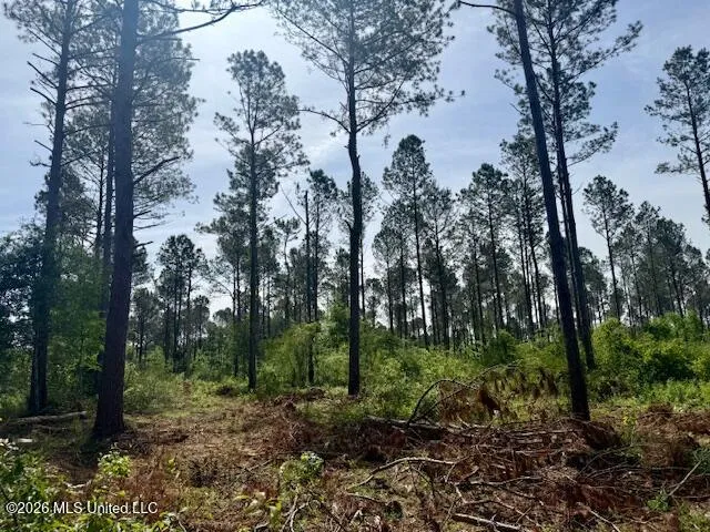 J W Miller Road Jayess, MS 39641