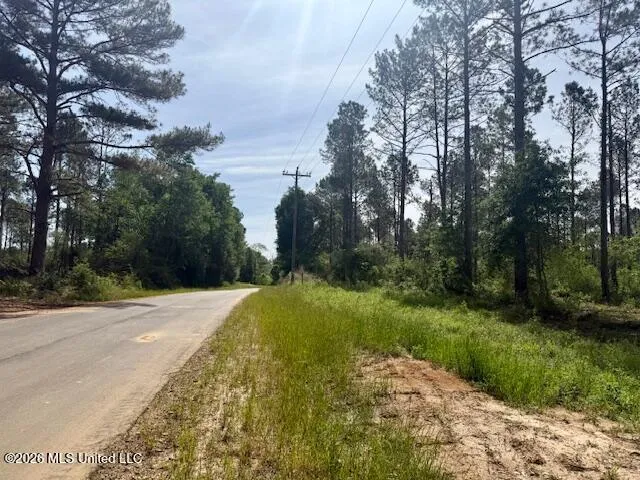 J W Miller Road Jayess, MS 39641