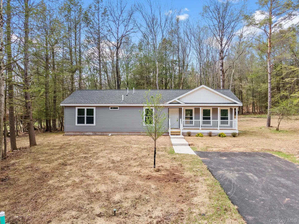 45 Pinehurst Drive W Liberty, NY 12754
