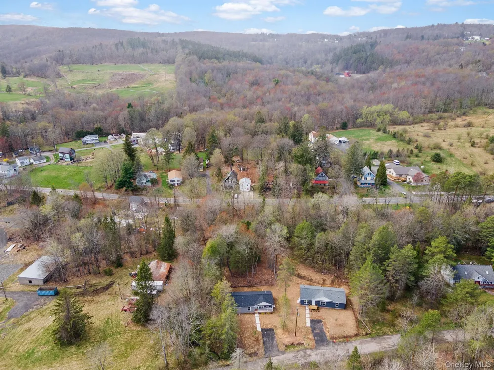 45 Pinehurst Drive W Liberty, NY 12754