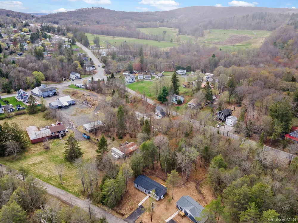 45 Pinehurst Drive W Liberty, NY 12754