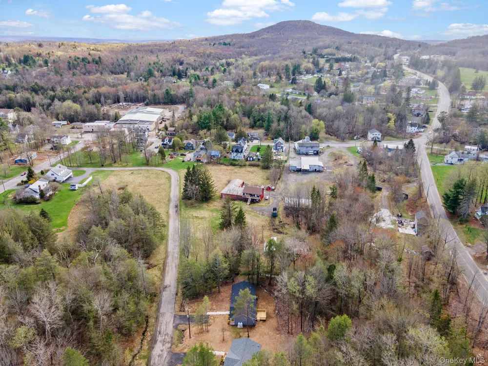 45 Pinehurst Drive W Liberty, NY 12754