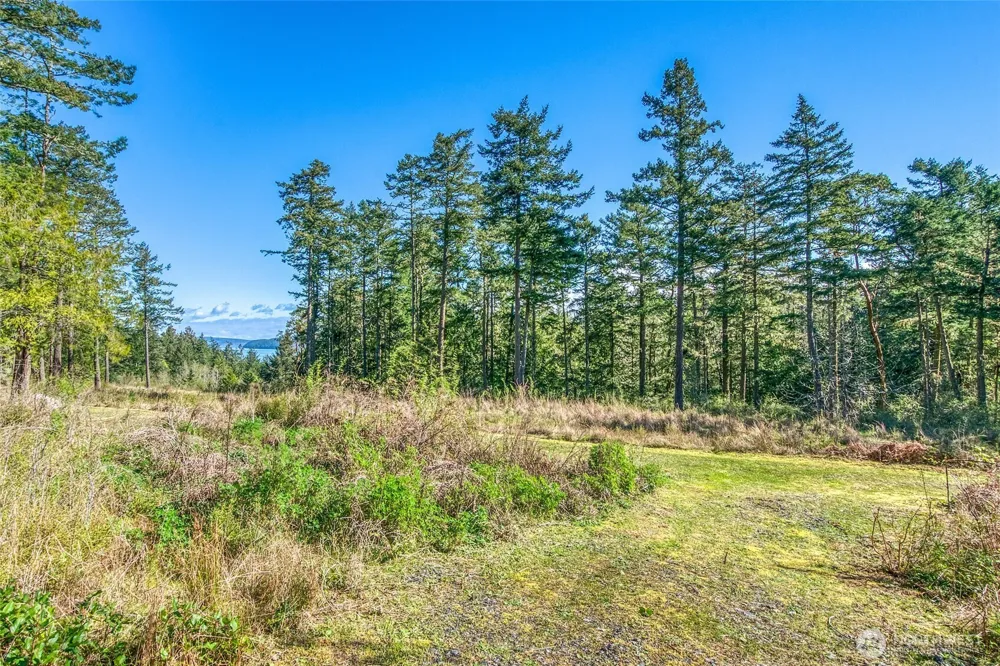 27 Bramblewood Lane Friday Harbor, WA 98250