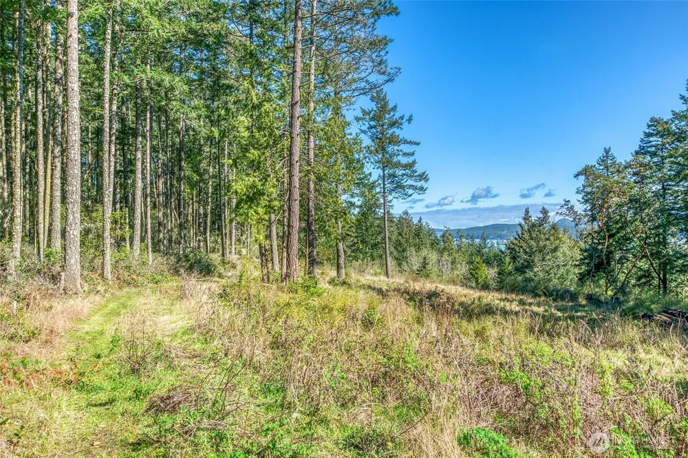 27 Bramblewood Lane Friday Harbor, WA 98250