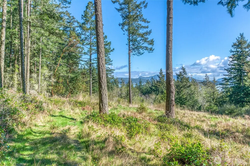 27 Bramblewood Lane Friday Harbor, WA 98250