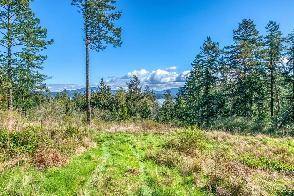 27 Bramblewood Lane Friday Harbor, WA 98250