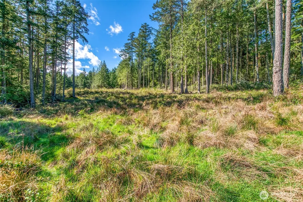 27 Bramblewood Lane Friday Harbor, WA 98250
