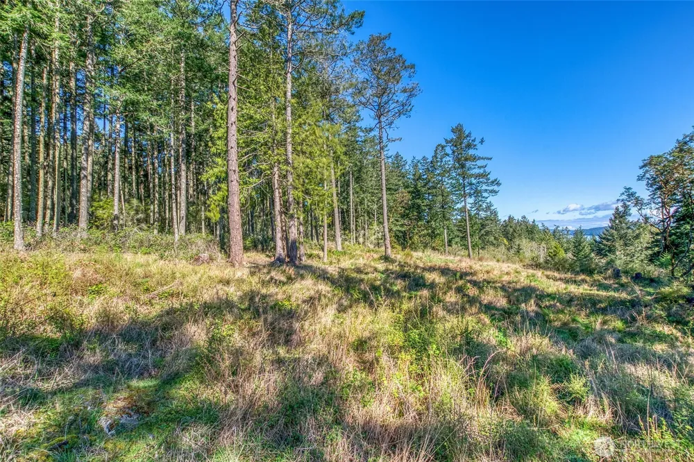 27 Bramblewood Lane Friday Harbor, WA 98250