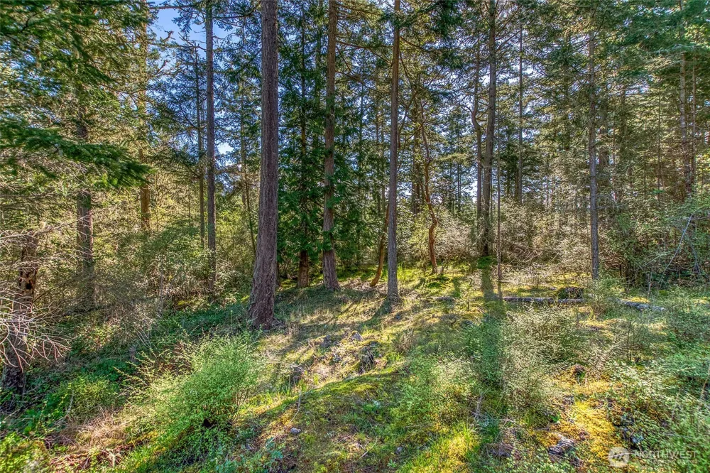 27 Bramblewood Lane Friday Harbor, WA 98250