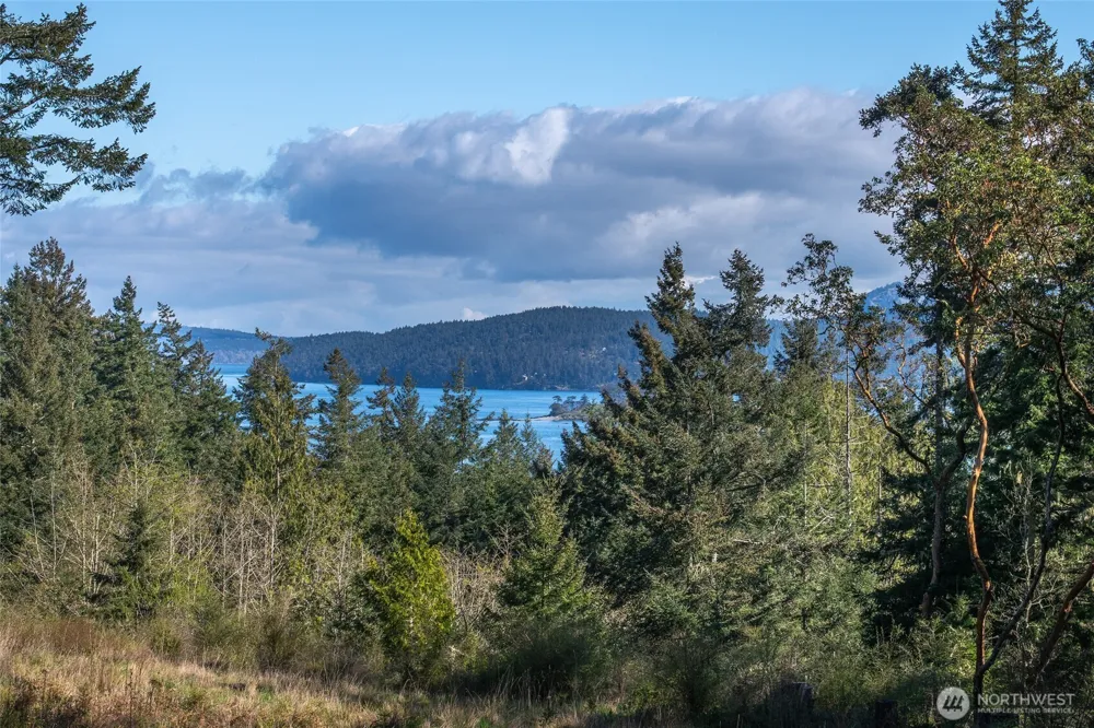 27 Bramblewood Lane Friday Harbor, WA 98250