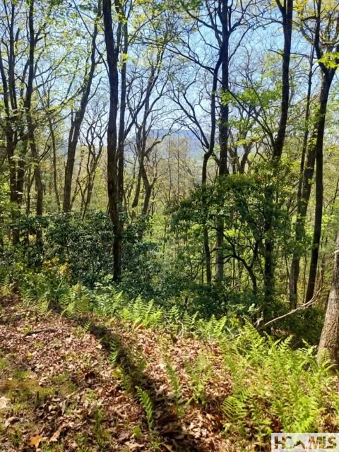 0 Pipetrack Gap Road