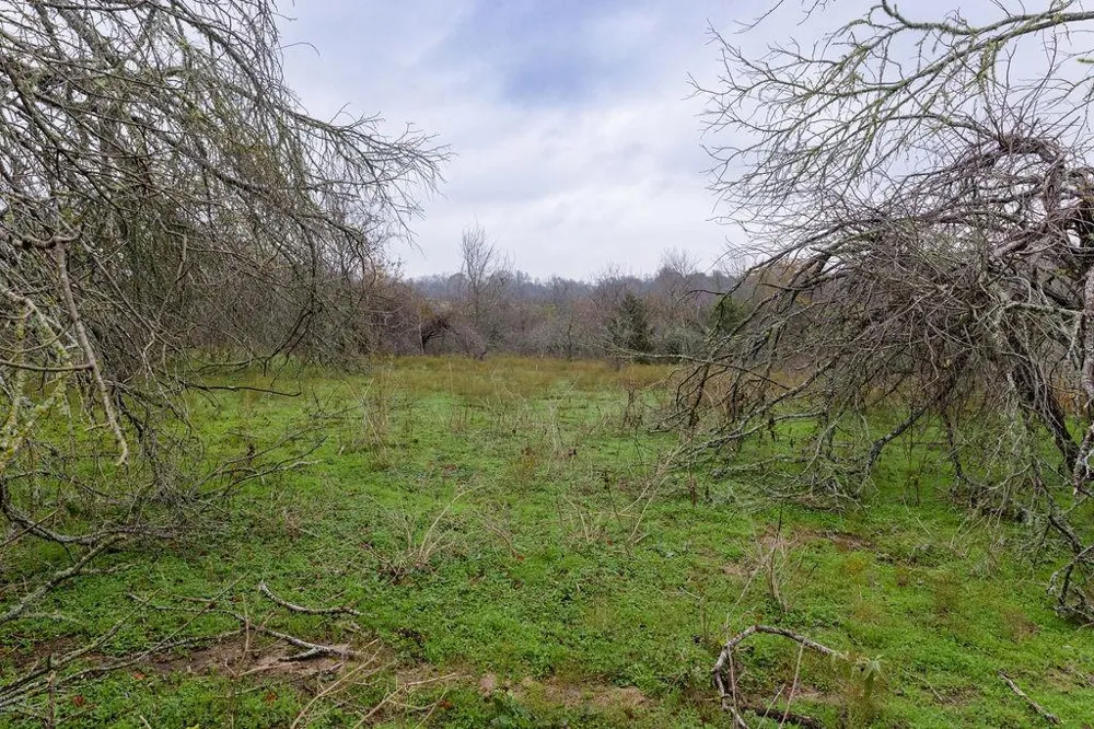 9448 Fm 1370 Washington, TX 77880