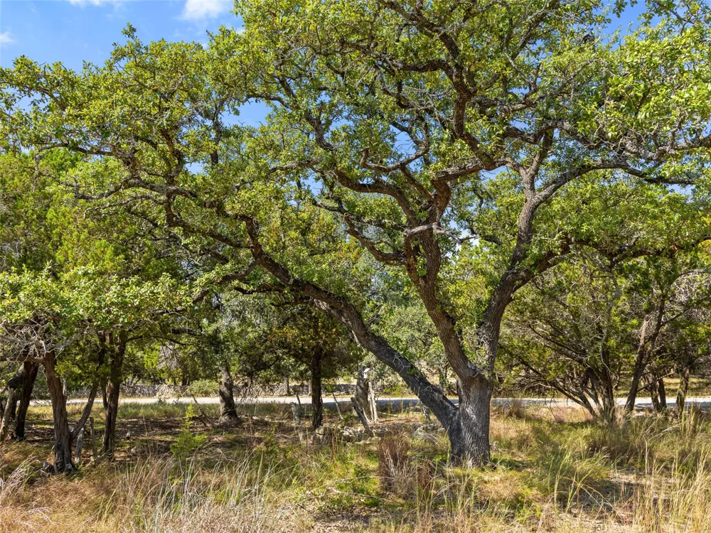 5818 Ranch Road 165 Blanco, TX 78606